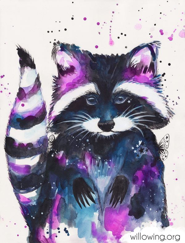 MessyRaccoon-lowresWM MessyRaccoon-lowresWM