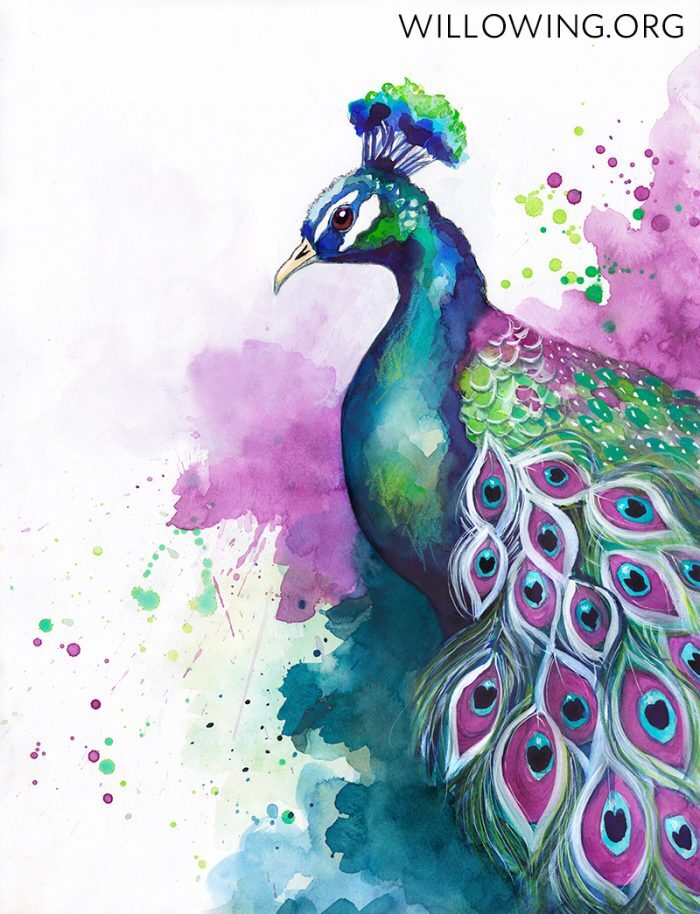 Expressive Peacock - Original Painting