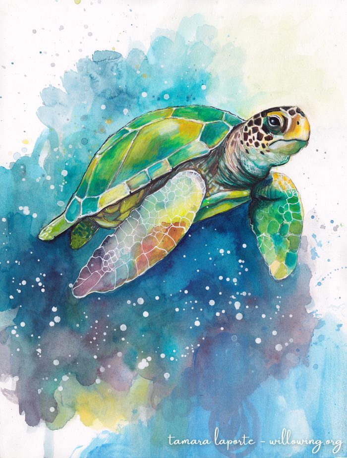 Sea Turtle Galaxy - Original Painting