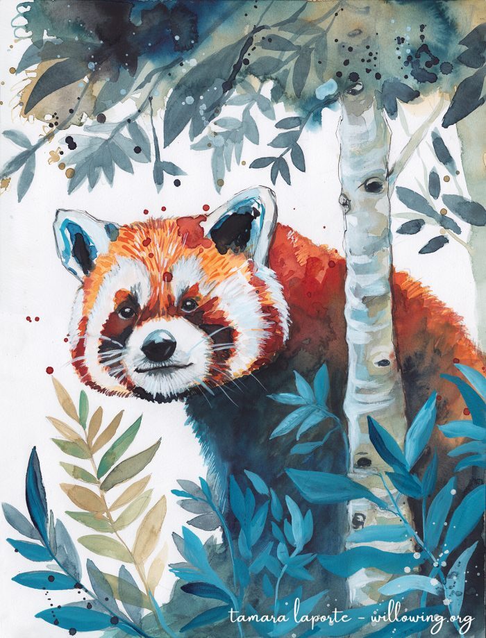 Red Panda Beauty - Original Painting